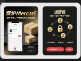 煤炉Mercari国外闲鱼二手电商运营实战全流程，仿品高利润，简单上手，闷声搞钱