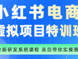 陆明明·小红书虚拟项目特训班(更新9月)