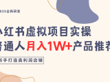 小红书虚拟项目实操指南，普通人月入1W+产品推荐，直接抄