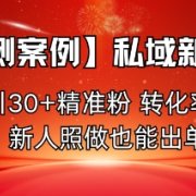 【实测案例】私域新玩法，日引30+精准粉，转化率50%，新人照做也能出单！