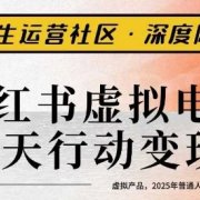 小红书虚拟电商14天变现训练营3.0,虚拟产品,2025年普通人在小红书最后的搞钱机会