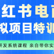 陆明明·小红书虚拟项目特训班(更新9月)