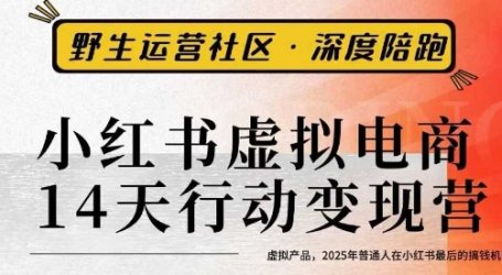 小红书虚拟电商14天变现训练营3.0，​虚拟产品，2025年普通人在小红书最后的搞钱机会