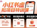 小红书虚拟项目特训课，帮你从0到1打造稳定盈利的店铺，抓住流量红利(更新9月)