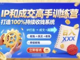 带你成为IP和成交高手的训练营,打造100%持续收钱系统