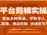 多平台剪辑实操课:覆盖多种赛道,学数字人、无人直播、爆品剪辑,快速起号变现