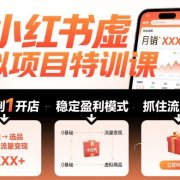 小红书虚拟项目特训课，帮你从0到1打造稳定盈利的店铺，抓住流量红利(更新9月)