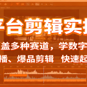 多平台剪辑实操课:覆盖多种赛道,学数字人、无人直播、爆品剪辑,快速起号变现