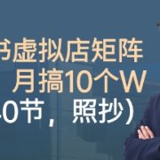 小红书虚拟店矩阵项目，照抄照做，月搞1W+(共40节)