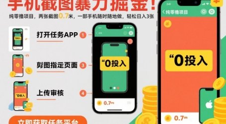 手机截图暴力掘金,两张截图0.7米,一部手机就能做,轻松日入3张【揭秘】