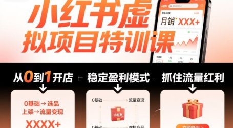 小红书虚拟项目特训课，帮你从0到1打造稳定盈利的店铺，抓住流量红利(更新9月)