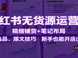小红书无货源运营课:精细铺货+笔记布局,学选品、爆文技巧,新手也能开店出单