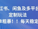 小红书、闲鱼及多平台定制玩法简单粗暴!每天稳定5张