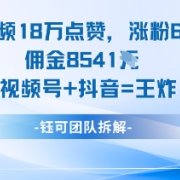 一条视频18W点赞,涨粉6.5W粉佣金8541米,视频号+抖音=王炸