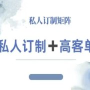 小红书自媒体咨询师IP教程,私人定制+高客单