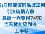 2025年小白都能做的私域项目引流负债人群最高一天变现1k+高变现难度低当天就能见到钱上手快