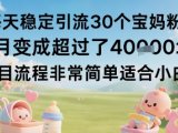 每天稳定引流30个宝妈粉当月变成超过了1W+项目流程非常简单适合小白
