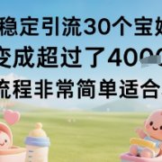 每天稳定引流30个宝妈粉当月变成超过了1W+项目流程非常简单适合小白
