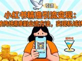 小红书精准引流变现:突破传统副业思维,掌握精准引流方法,实现私域转化