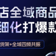 金戈·抖店爆单陪跑课-抖音小店爆单陪跑(更新10月)