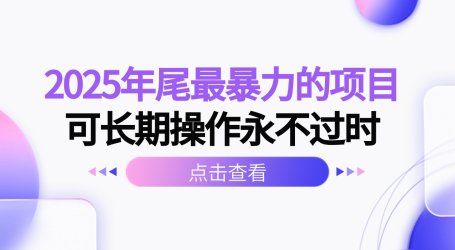 2025年尾最暴力的项目可长期操作永不过时