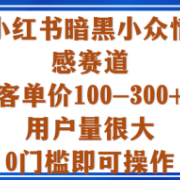 小红书暗黑小众情感赛道，客单价100-300+用户量很大，0门槛即可操作