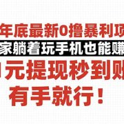 25年底最新0撸暴利项目，在家躺着玩手机也能赚钱，1元提现秒到账，有手…