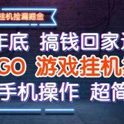 25年底搞钱回家过年,CSGO游戏挂机掘金,纯手机操作超简单