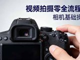 视频拍摄零全流程课：从相机基础操作到电影构图、光影布光、分镜头设计等