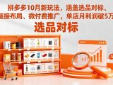 拼多多10月新玩法，涵盖选品对标、链接布局、微付费推广，单店月利润破5万