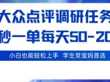 大众点评调研，电脑任务，2秒一单每天50-2张，学生党宝妈首选【揭秘】