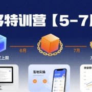 多多特训营,产品决定上限,方法决定下限,各种玩法技巧落地实操(更新)