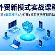 外贸新模式实战课程,账号搭建+截流技术+AI矩阵+独家方法实现自动化获客