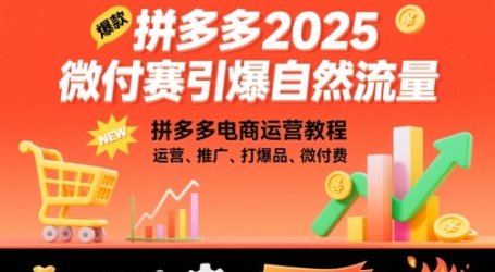 拼多多2025微付费引爆自然流量，拼多多电商运营教程，运营、推广、打爆品、微付费(更新)