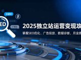 2025独立站运营变现攻略：掌握SEO优化、广告投放、数据诊断，月业绩50万+