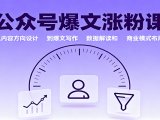 公众号爆文涨粉课：从内容方向设计到爆文写作，数据解读和商业模式布局