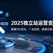 2025独立站运营变现攻略：掌握SEO优化、广告投放、数据诊断，月业绩50万+