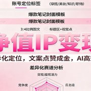 高净值IP变现课：小红书差异化定位，文案点赞成金， AI高效做短视频