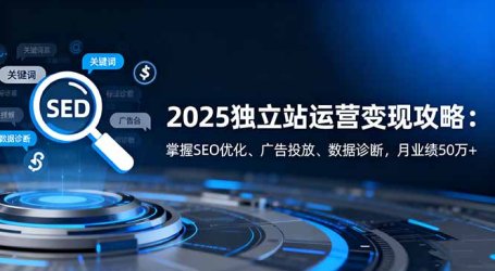 2025独立站运营变现攻略：掌握SEO优化、广告投放、数据诊断，月业绩50万+