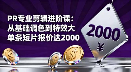 PR专业剪辑进阶课:从基础调色到特效大片的进阶技能,单条短片报价达2000