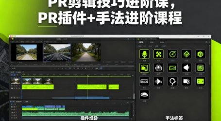 PR剪辑技巧进阶课,PR插件+手法进阶课程
