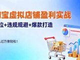 淘宝虚拟店铺盈利实战：定位+违规规避+爆款打造，月入过万很轻松！