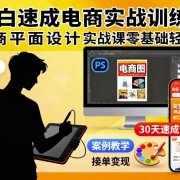 小白速成电商实战训练课,电商平面设计实战课零基础轻松学