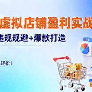 淘宝虚拟店铺盈利实战：定位+违规规避+爆款打造，月入过万很轻松！
