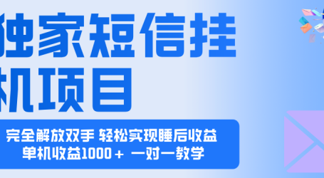 2025全新电脑挂机项目  操作简单,单机当天收益1000+,收益无上限,可…