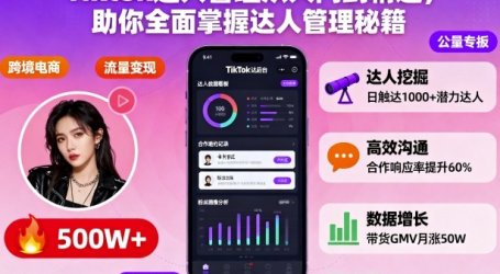 Tiktok达人管理从入门到精通,助你全面掌握达人管理秘籍