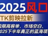 2025风口TK剪映capcut拉新项目，极限高客单，市场空白，2025下半年真正的蓝海项目