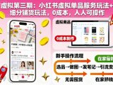 虚拟第三期：小红书虚拟单品服务玩法+细分铺货玩法，0成本，人人可操作