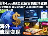 国外Lead联盟营销实战视频教程，从零基础到独立操作国外Lead项目的目标，开启海外淘金之路