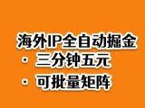 海外ip全自动掘金,2025必做蓝海项目,3分钟落地,矩阵直接开干【揭秘】